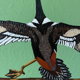 Mr. Merganser Goes For a Walk